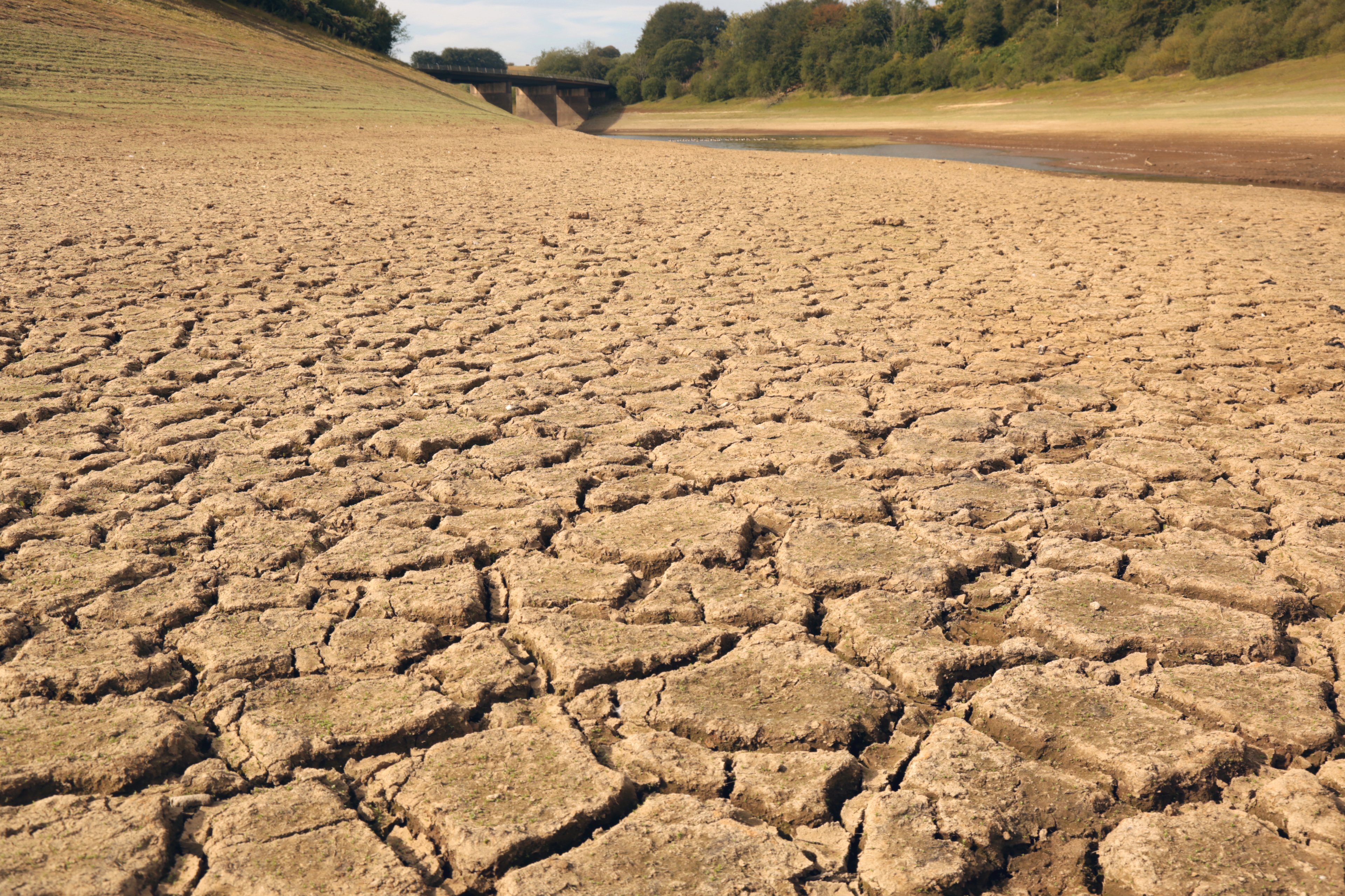 Preparations in place following severe drought declaration | wsfp.co.uk