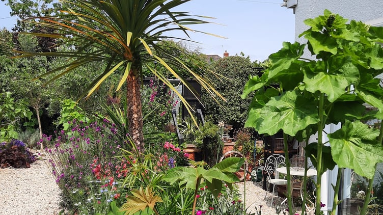 One of the gardens on show in this year's Kilve open gardens event.
