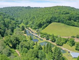 Trout firm looks to expand its business