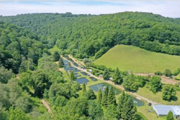 Exmoor Fisheries, near Brompton Regis, wants to add extra trout rearing ponds to expand the business and secure its future.