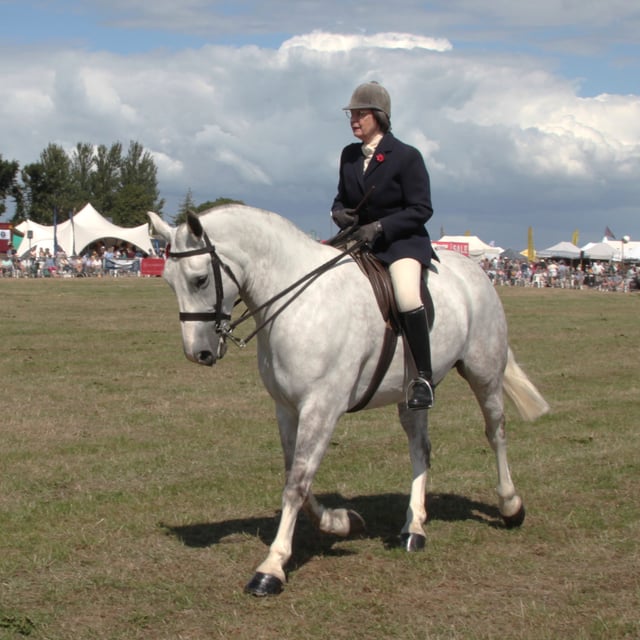 So much to enjoy at Dunster Show