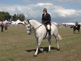 So much to enjoy at Dunster Show