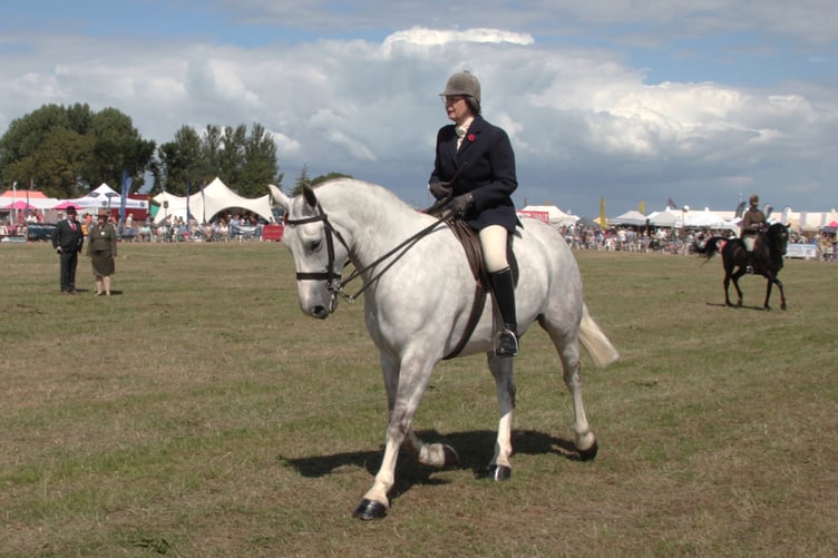Amanda Marfleet on her Irish Draft Canis Major, which took Dunster Show 2026 supreme horse champion. PHOTO: George Ody.