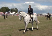 Tractors and rum, cheese and jumpers, and much, much more at Dunster Show
