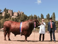 Show success despite disease and heatwaves