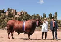 Evergreen Dunster Show again sees large entries and crowds in 178th year