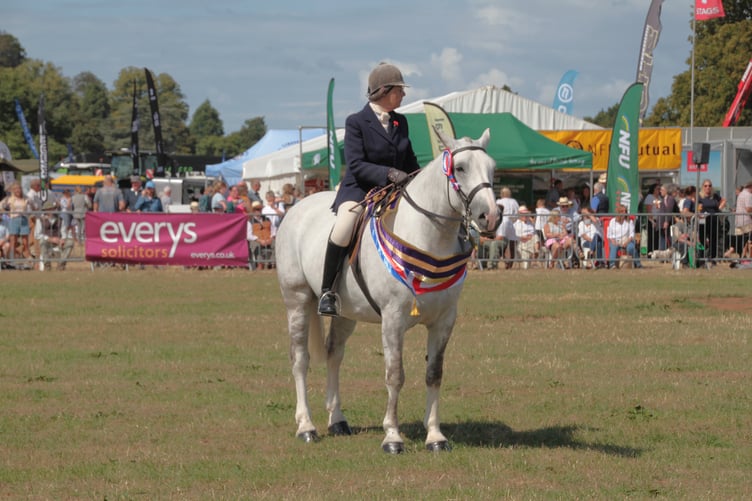 Amanda Marfleet on Irish Draft Canis Major, which took supreme champion in the horse section of Dunster Show 2026. PHOTO: George Ody.
