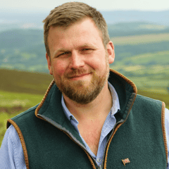 Government slashes funds for bluetongue tests