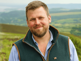 Government slashes funds for bluetongue tests