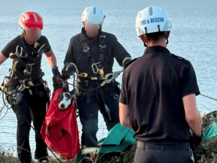 Dog trapped on cliff ledge sparks rescue operation