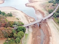 Bank holiday rain fails to lift drought