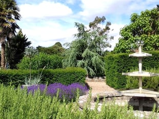 Help for gardeners facing 'perfect storm'