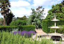 Help for gardeners facing 'perfect storm'