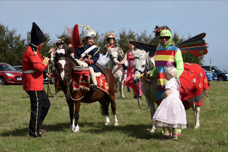 Prizewinners in the fancy dress class at the 2026 Cutcombe Show. PHOTO: Andrew Turner.