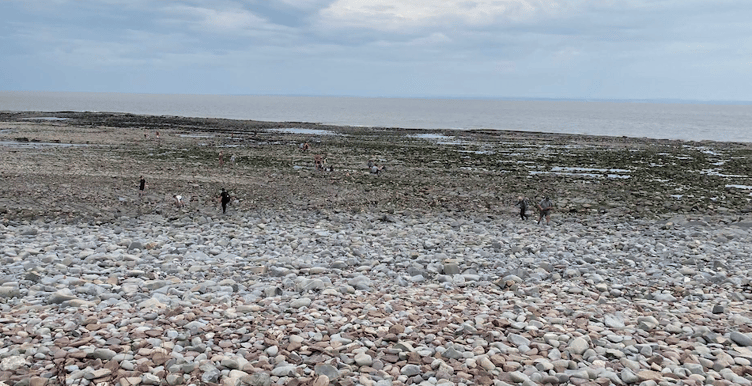 Rock pooling on Kilve Beach with the Quantock Hills National Landscape team and Geckoella.