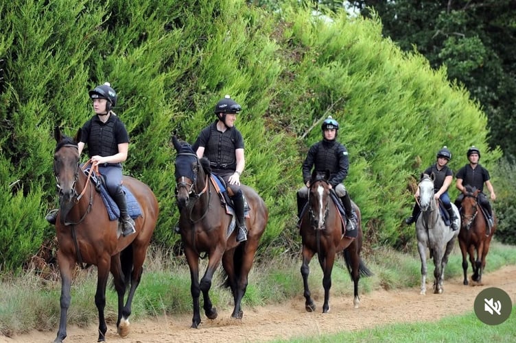 Out on the gallops