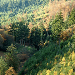 Hills symposium to explore history and heritage