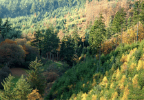 First Quantock Heritage Symposium to share new perspectives of the area