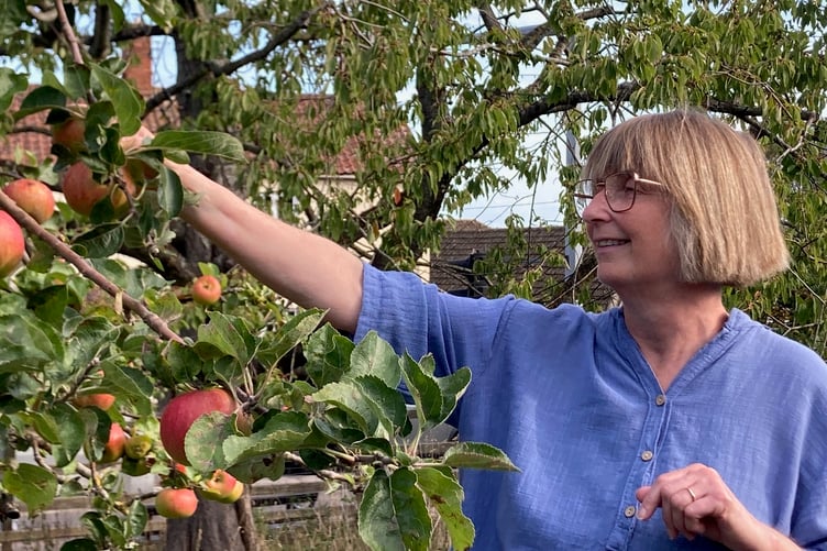Carhampton will be celebrating all things apple in its community orchard on October 10.