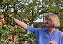Orchard's annual celebration of all things 'apple' in Carhampton