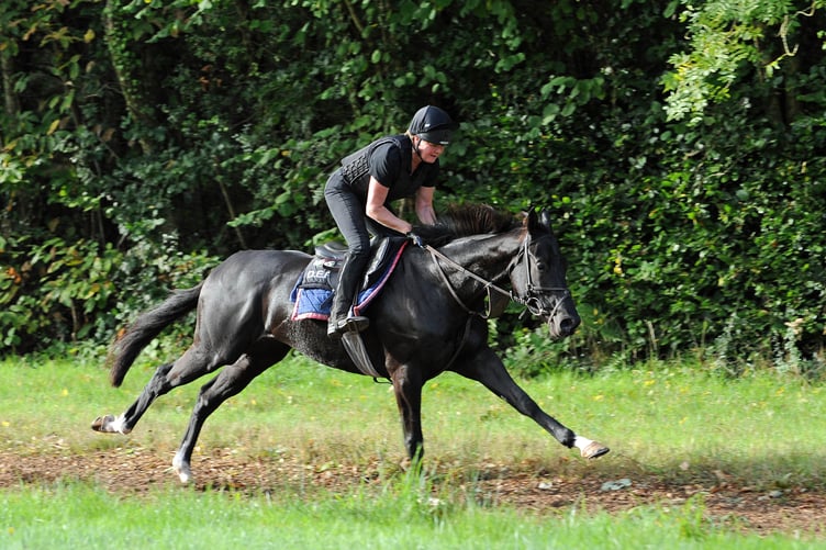 Parchment on the gallops