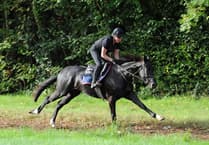 Lack of rain poses big problems for racing almost everywhere