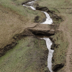 Wimbleball drought permit as bridge emerges