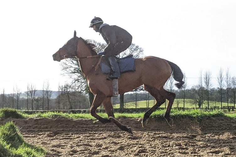 On the gallops