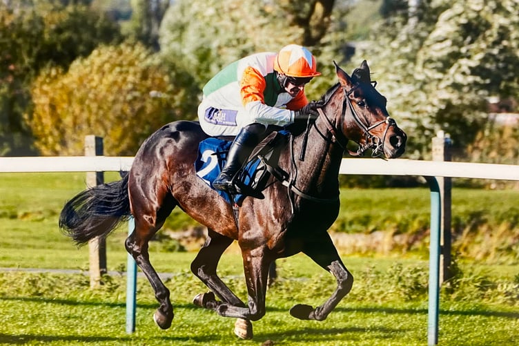 Masterius - a winner at Southwell last week