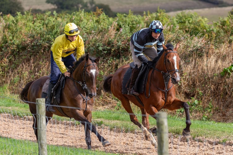 King Of The The Lake and Came From Nowhere on the gallops at the Bubbles and Brunch morning