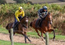 Jeremy Scott’s yard set for the new season after hot summer