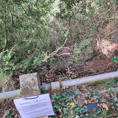 "Goat carcasses dumped" in woodland