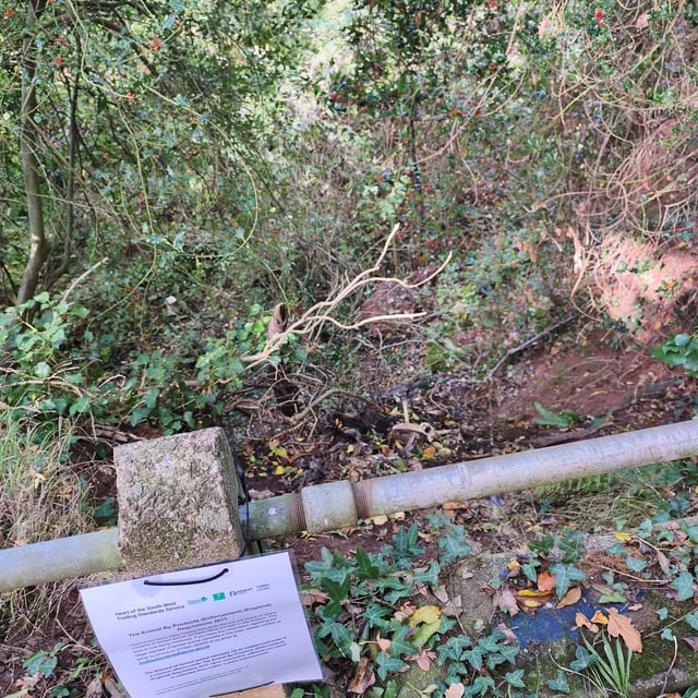 "Goat carcasses dumped" in woodland