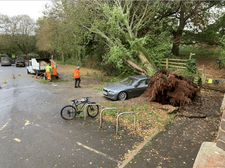 A tree came down and crushed a parked car in Dunster Steep car park during Storm Austen on Friday afternoon.