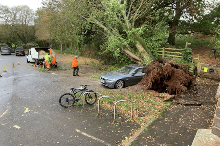A tree came down and crushed a parked car in Dunster Steep car park during Storm Austen on Friday afternoon.
