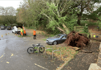 Car crushed by falling tree and homes without power for 24 hours among storm damage