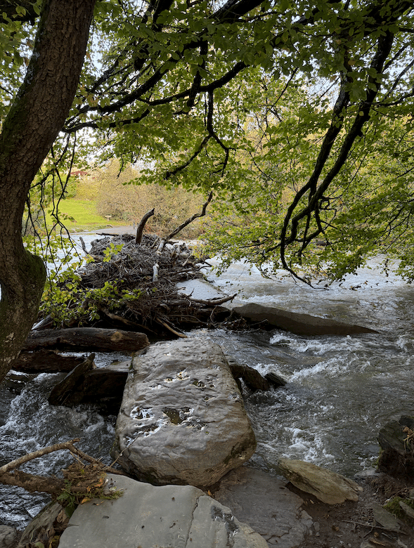 The 3,000-year-old stones making up the Tarr Steps clapper bridge on Exmoor have been replaced by pile of driftwood washed downstream in the weekend storms.