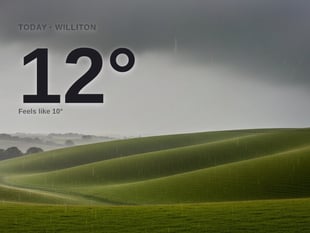 Williton: heavy rain, high of 11°C on Friday
