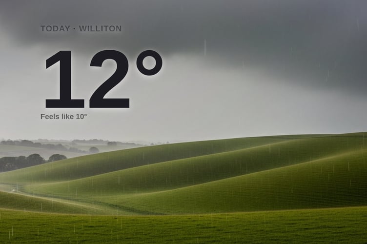Williton weather: heavy rain Friday with rain expected and a high of 11°C