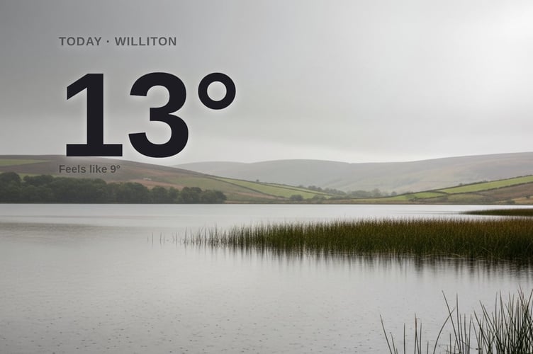 Williton weather: cloudy Sunday with rain expected and a high of 13°C