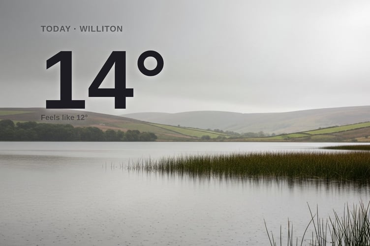 Williton weather: cloudy Tuesday with rain expected and a high of 14°C