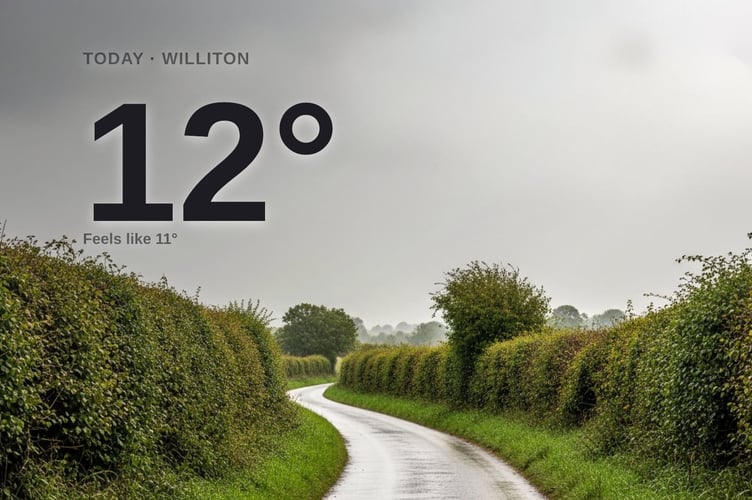 Williton weather: cloudy Tuesday with rain expected and a high of 12°C
