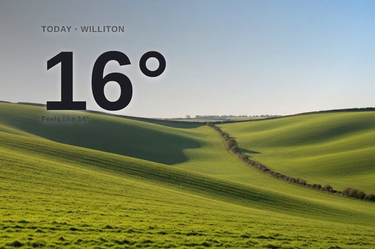 Williton weather: sunny Friday with little chance of rain and a high of 16°C