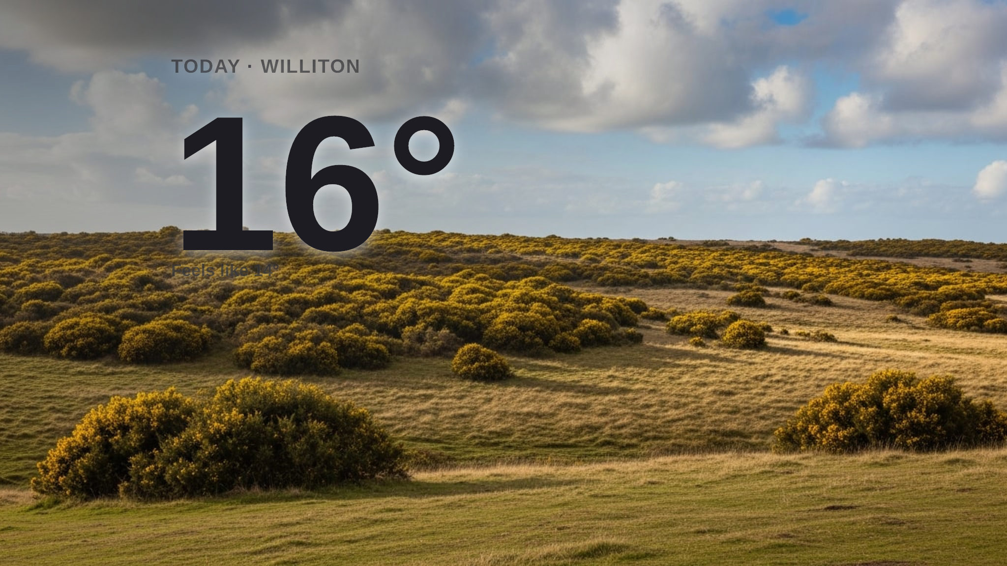 Sunshine and warmth for Williton today - here's what to expect