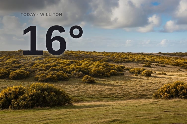 Williton weather: partly cloudy Thursday with little chance of rain and a high of 16°C