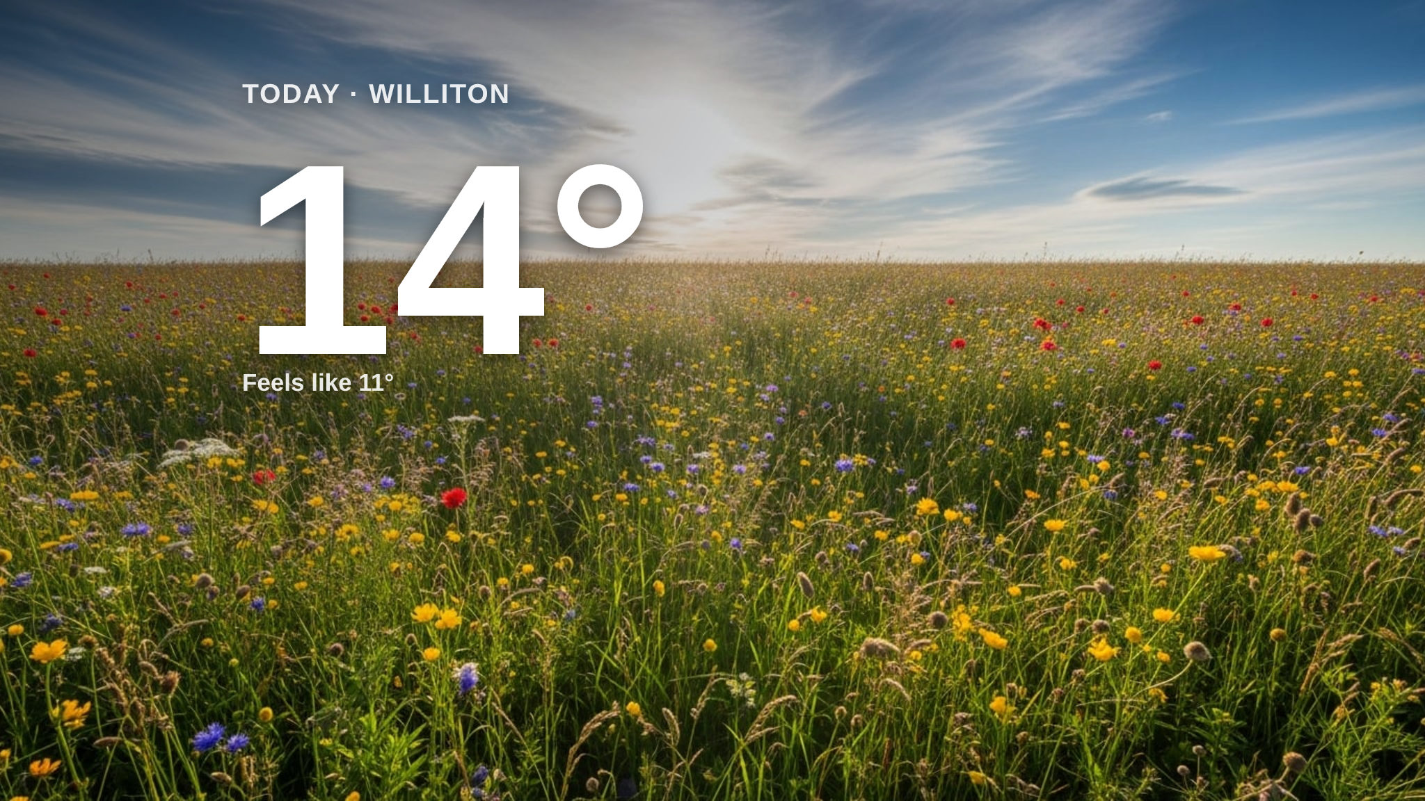 Clouds and sun for Williton today - here's your Saturday forecast