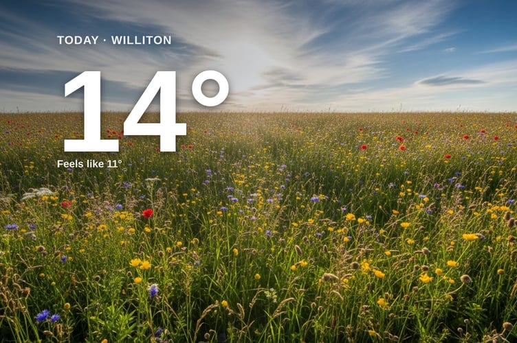 Williton weather: partly cloudy Saturday with little chance of rain and a high of 13°C