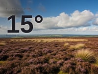 Williton: partly cloudy, high of 14°C