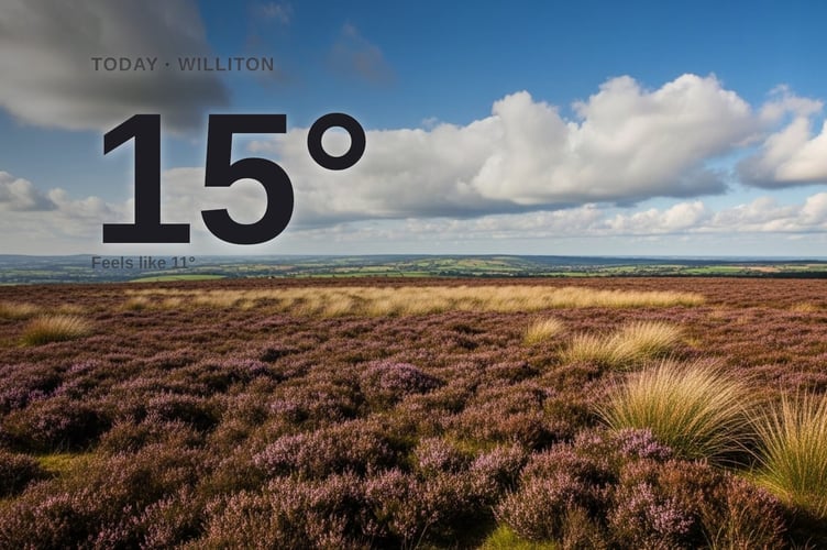 Williton weather: partly cloudy Friday with little chance of rain and a high of 14°C